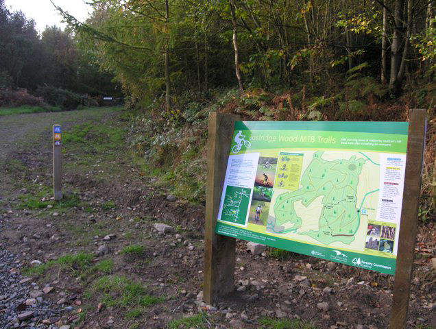 Forestry Commission: Shropshire