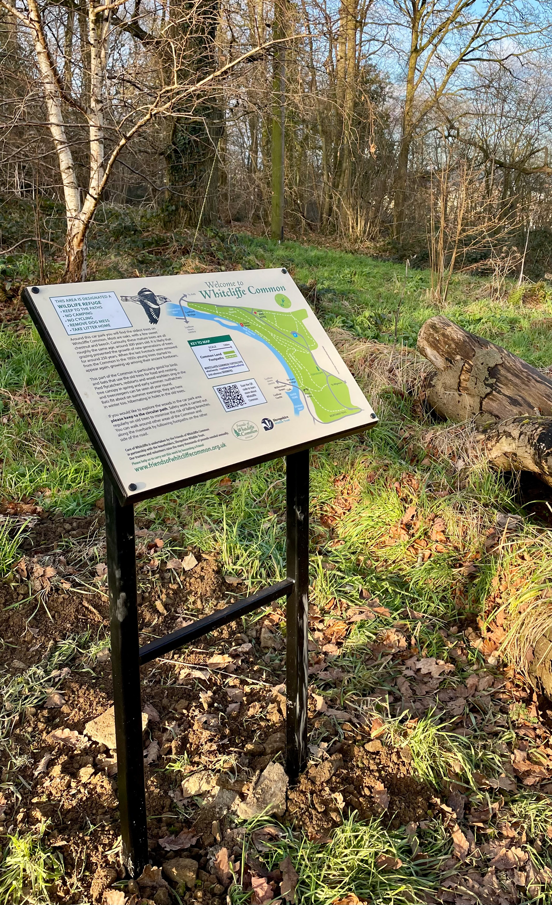 Whitcliffe Common, Ludlow, Shropshire