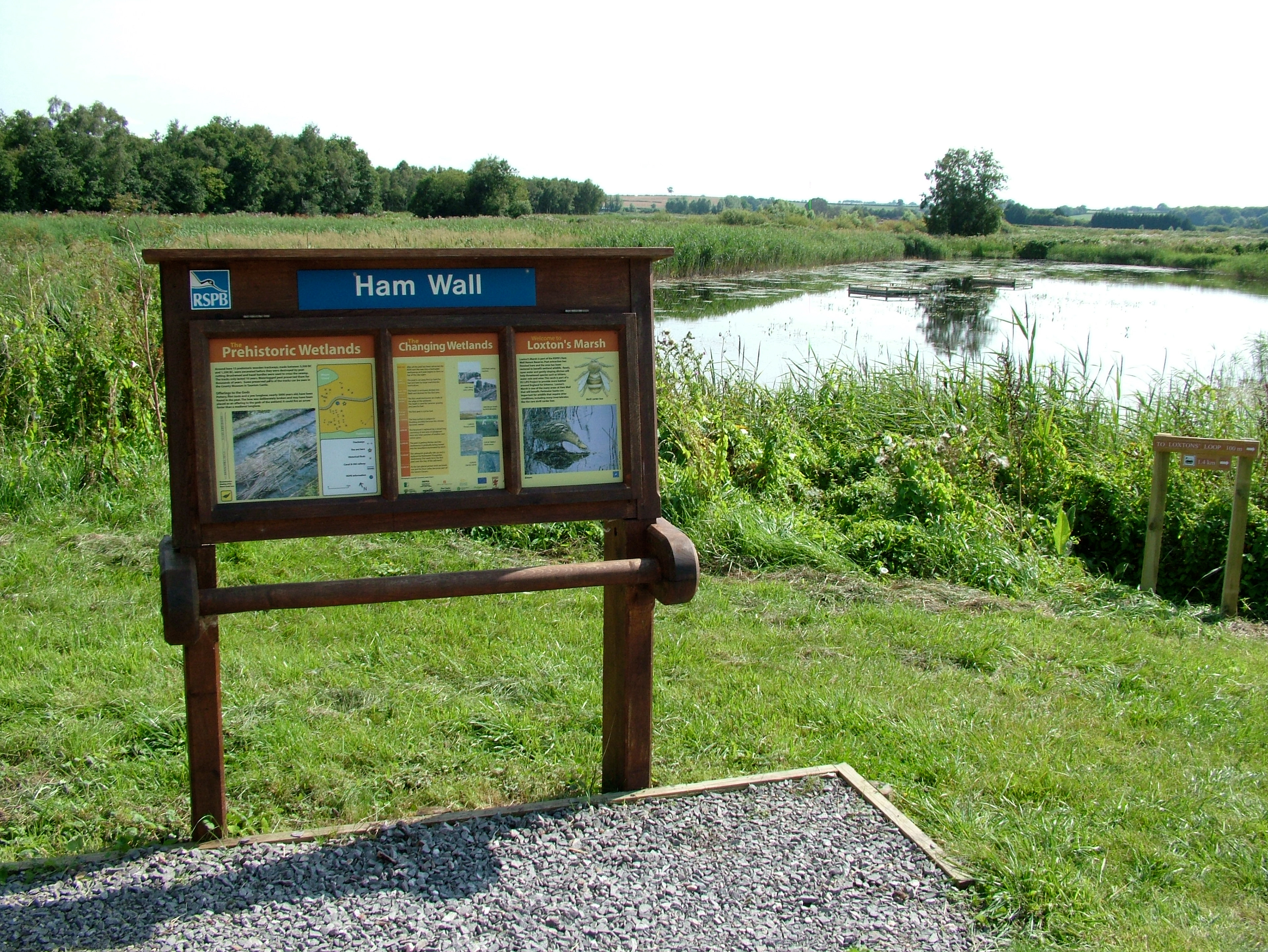 RSPB Ham Wall, Somerset
