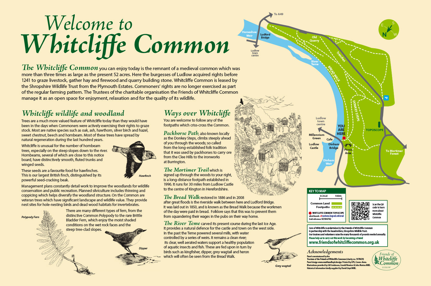 Whitcliffe Common, Ludlow, Shropshire