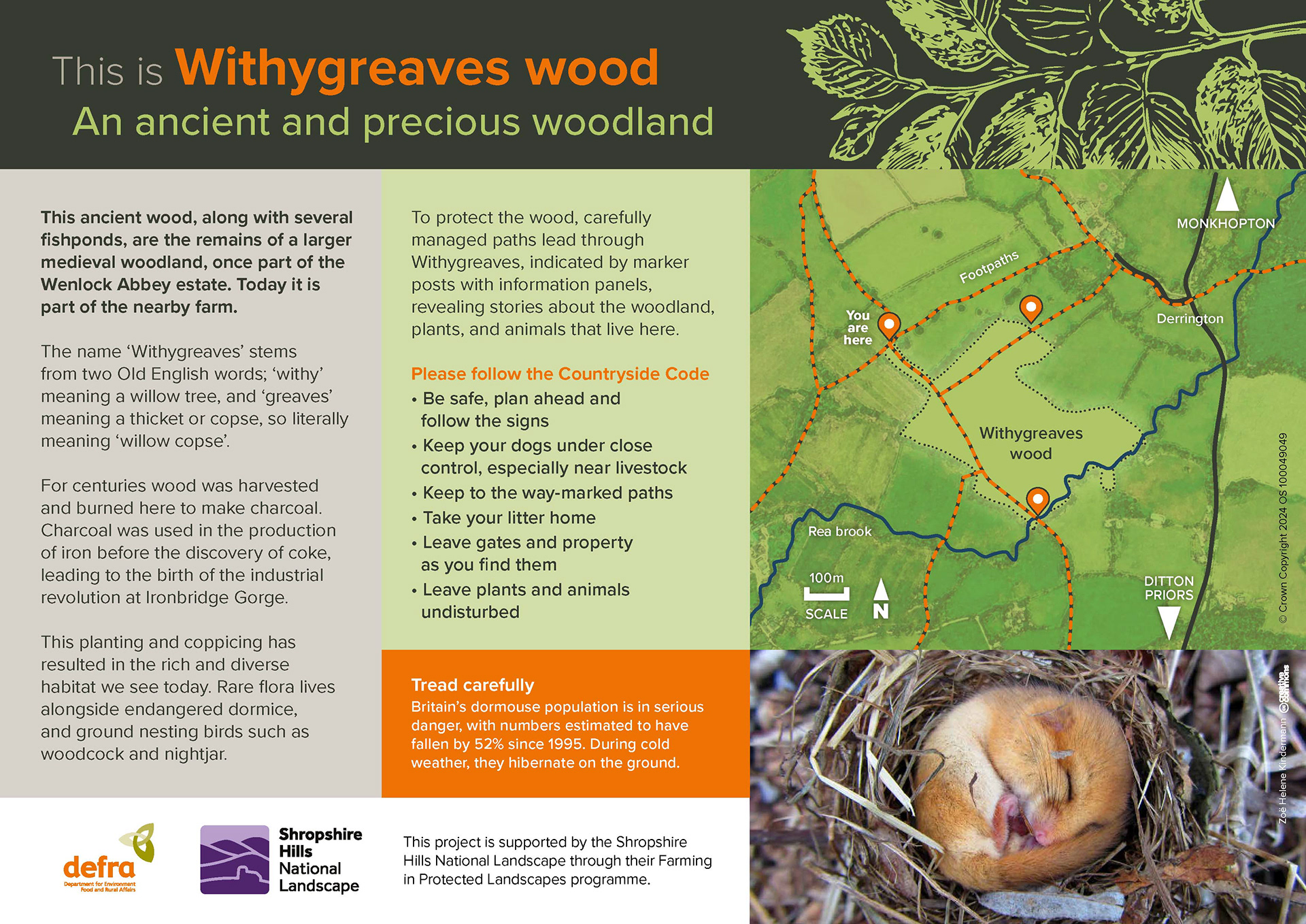 Withygreaves Wood, Dutton Priors, Shropshire