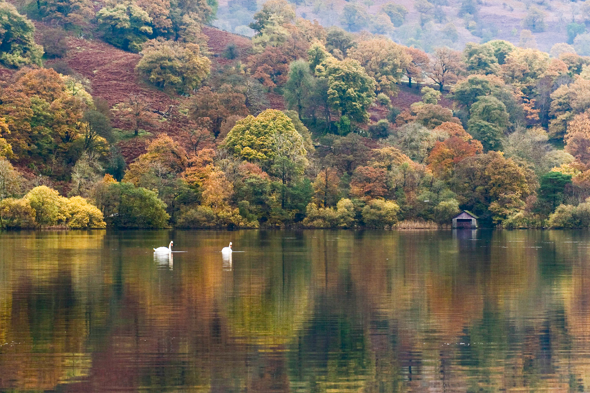 Autumn Rydal Water