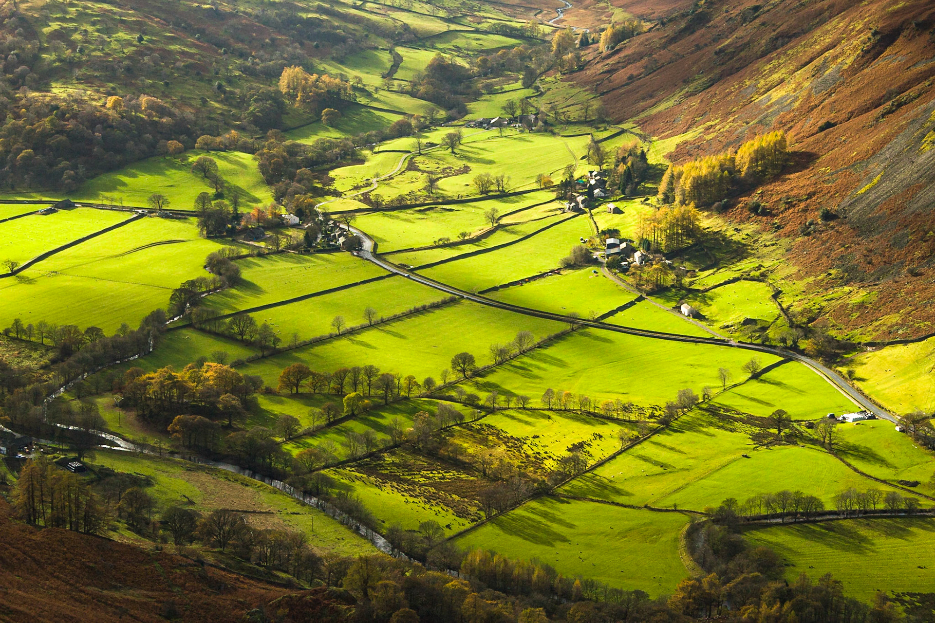 Light on fields