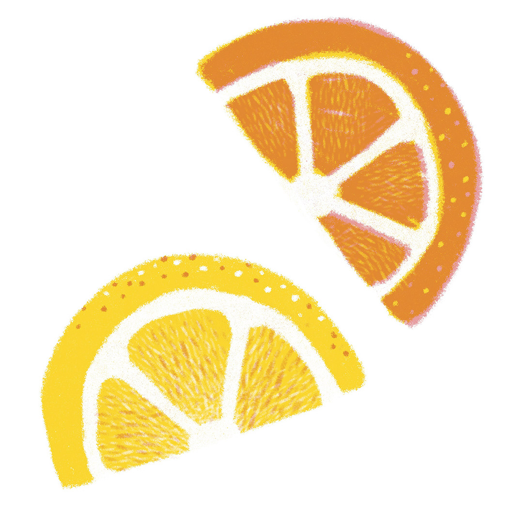Citrus-Lemon-Orange-Slice-Illustration-for-Namawell-by-Polina-Jakimova