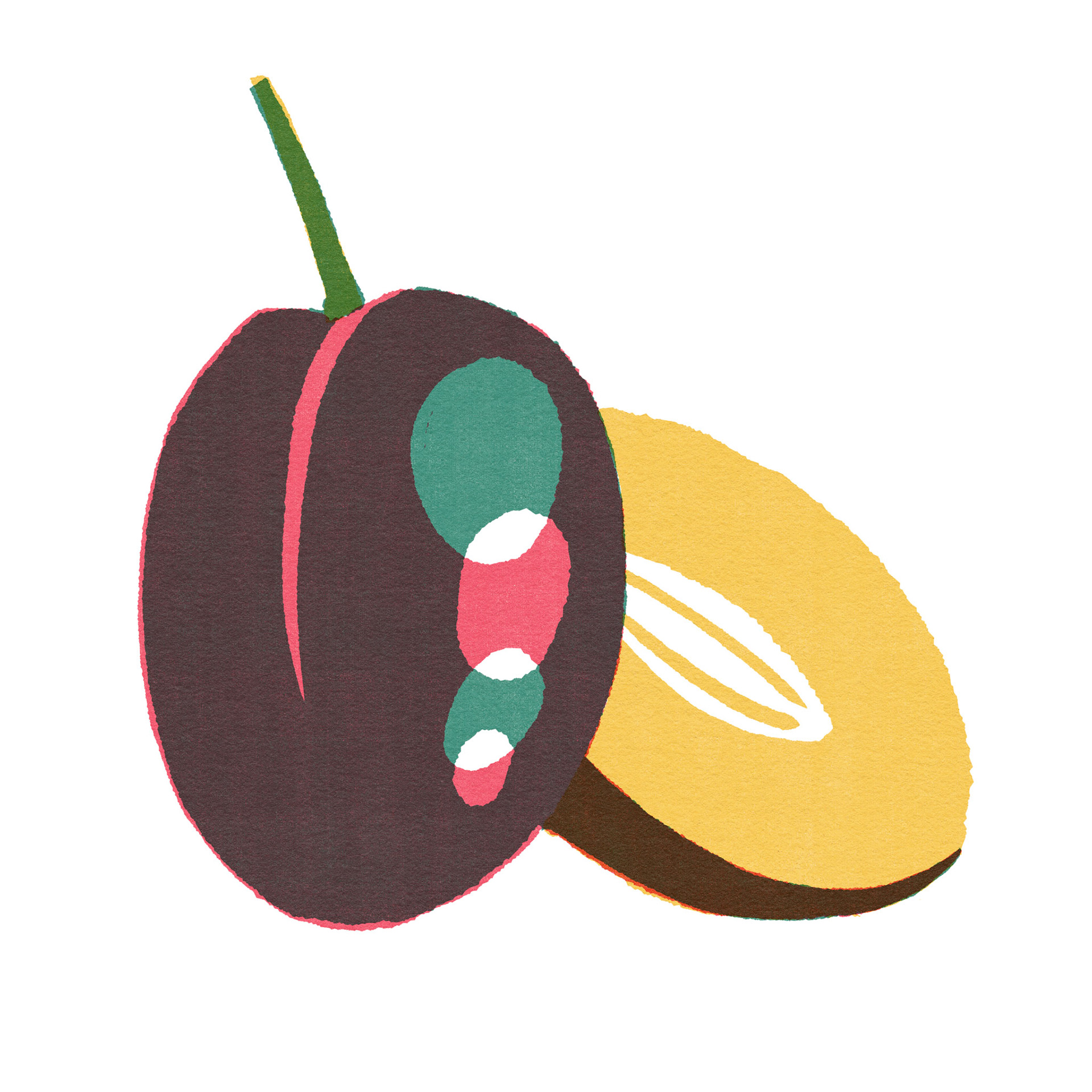 Zwetschge Illustration by Polina Jakimova