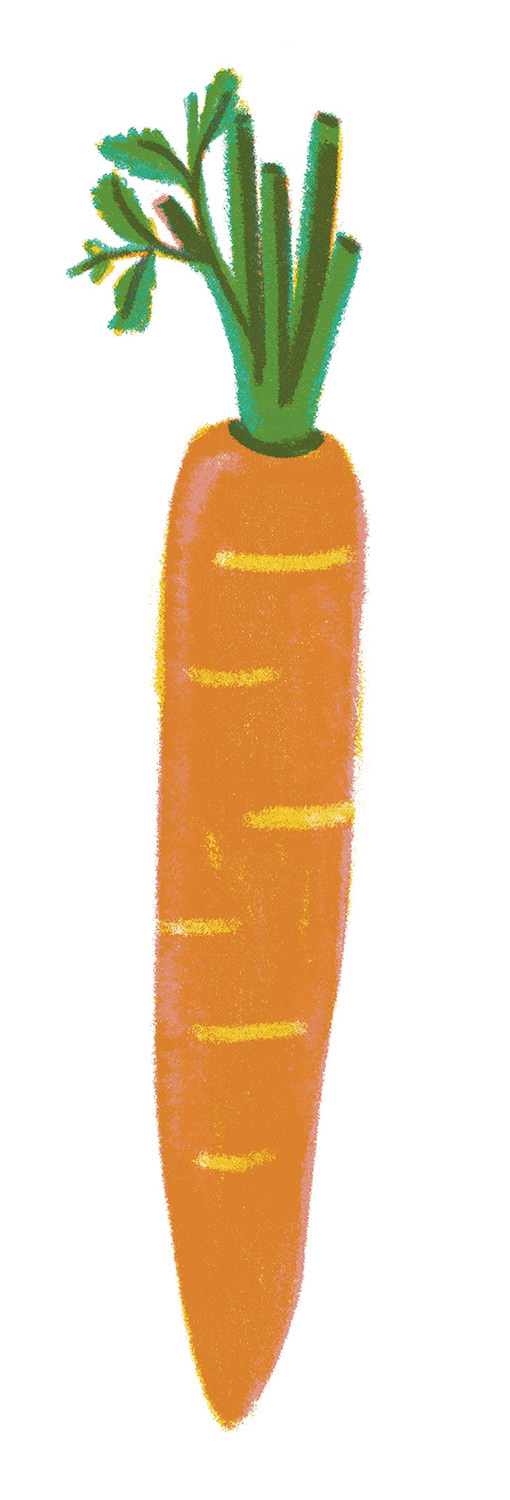 Carrot-Illustration-for-Namawell-by-Polina-Jakimova