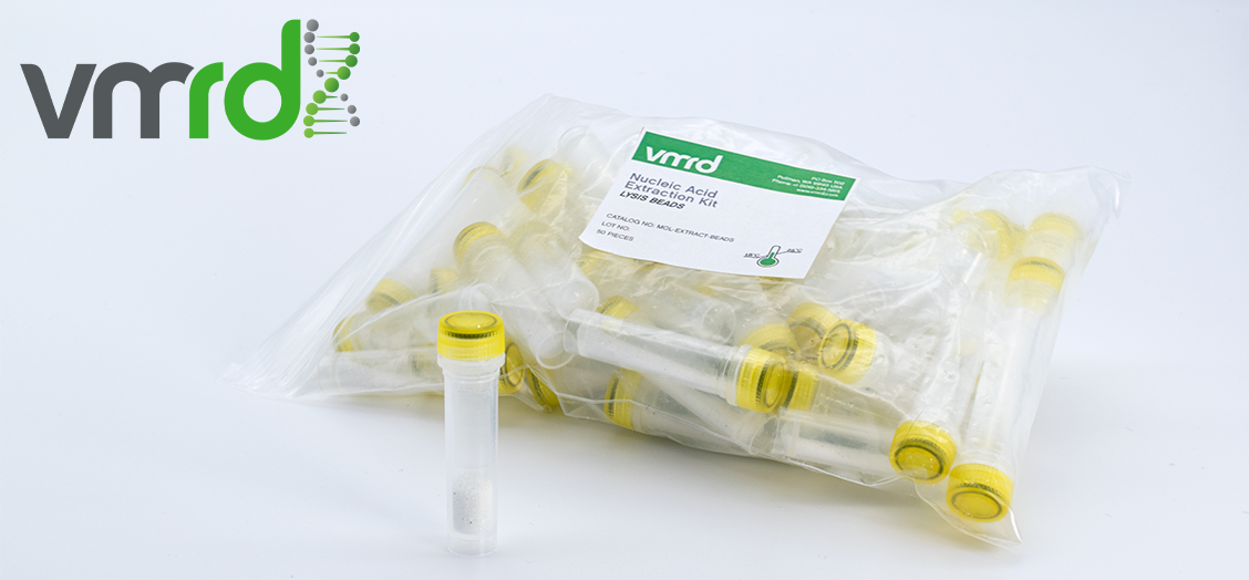 Lysis Beads for Nucleic Acid Extraction