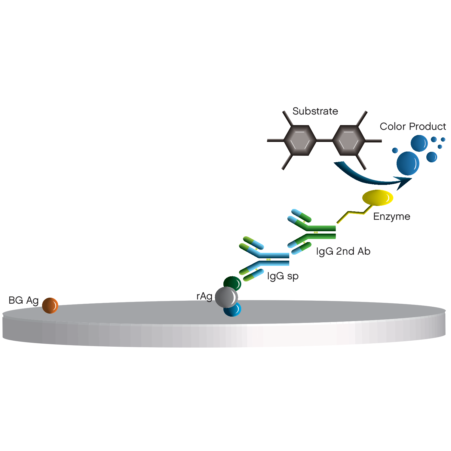 Indirect ELISA - Positive well with background