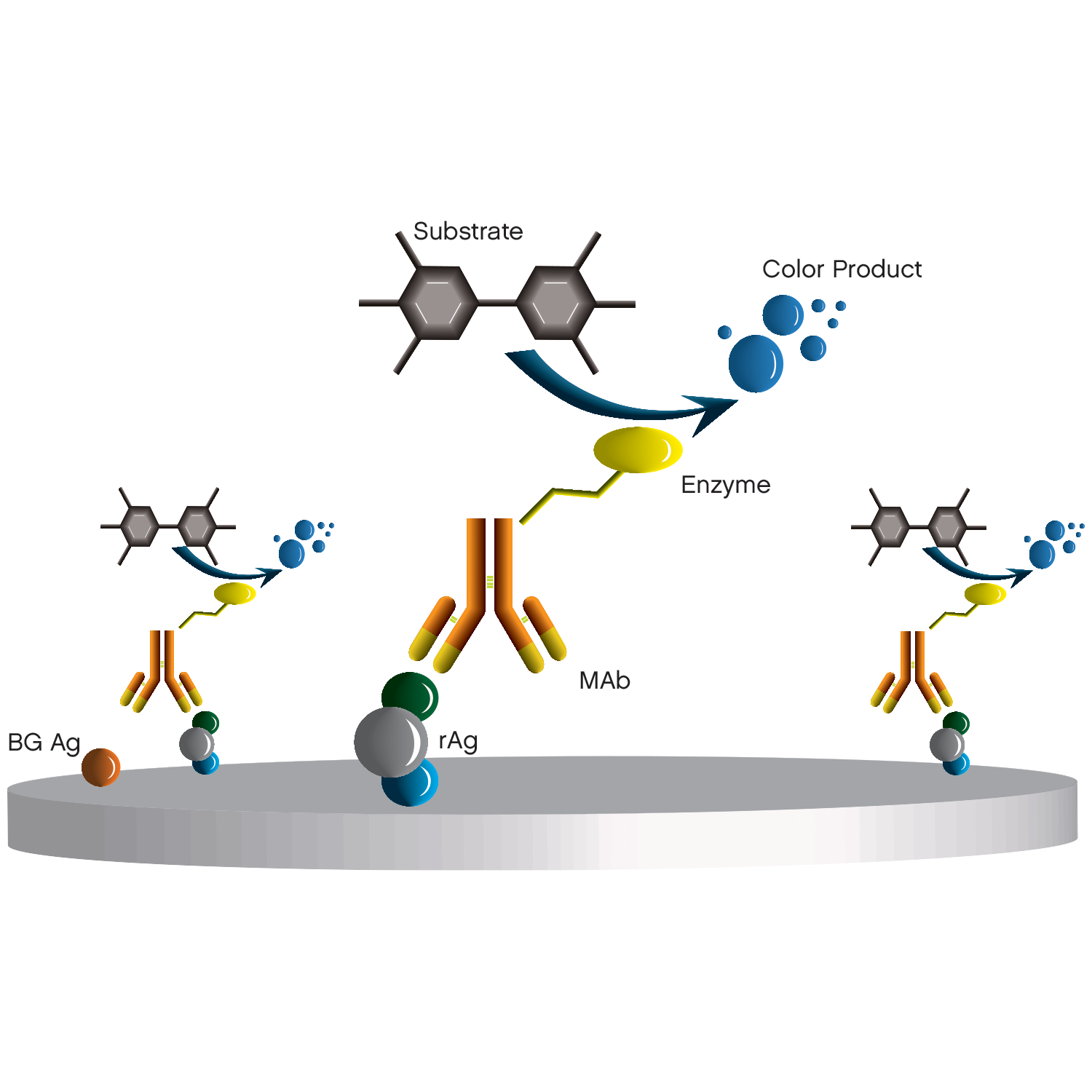 Blocking ELISA - Negative well