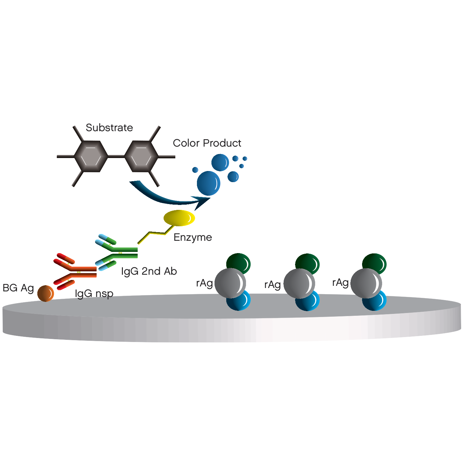 Indirect ELISA - Negative well with background