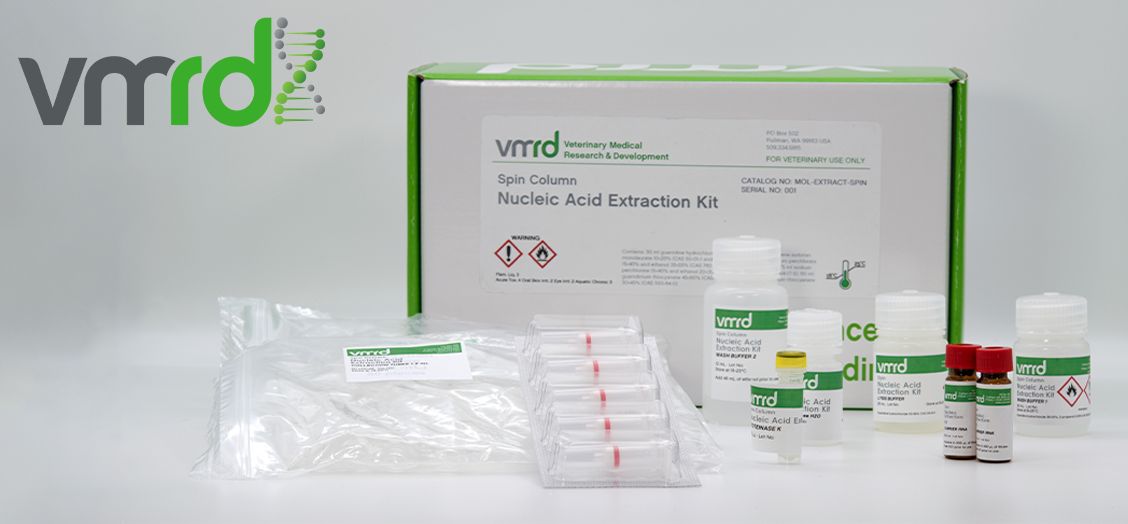 Spin Column Nucleic Bead Extraction Kit