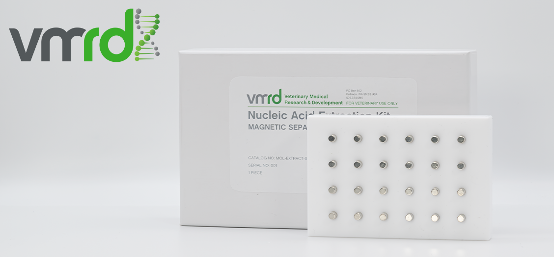 Magnetic Separator for Nucleic Acid Extraction