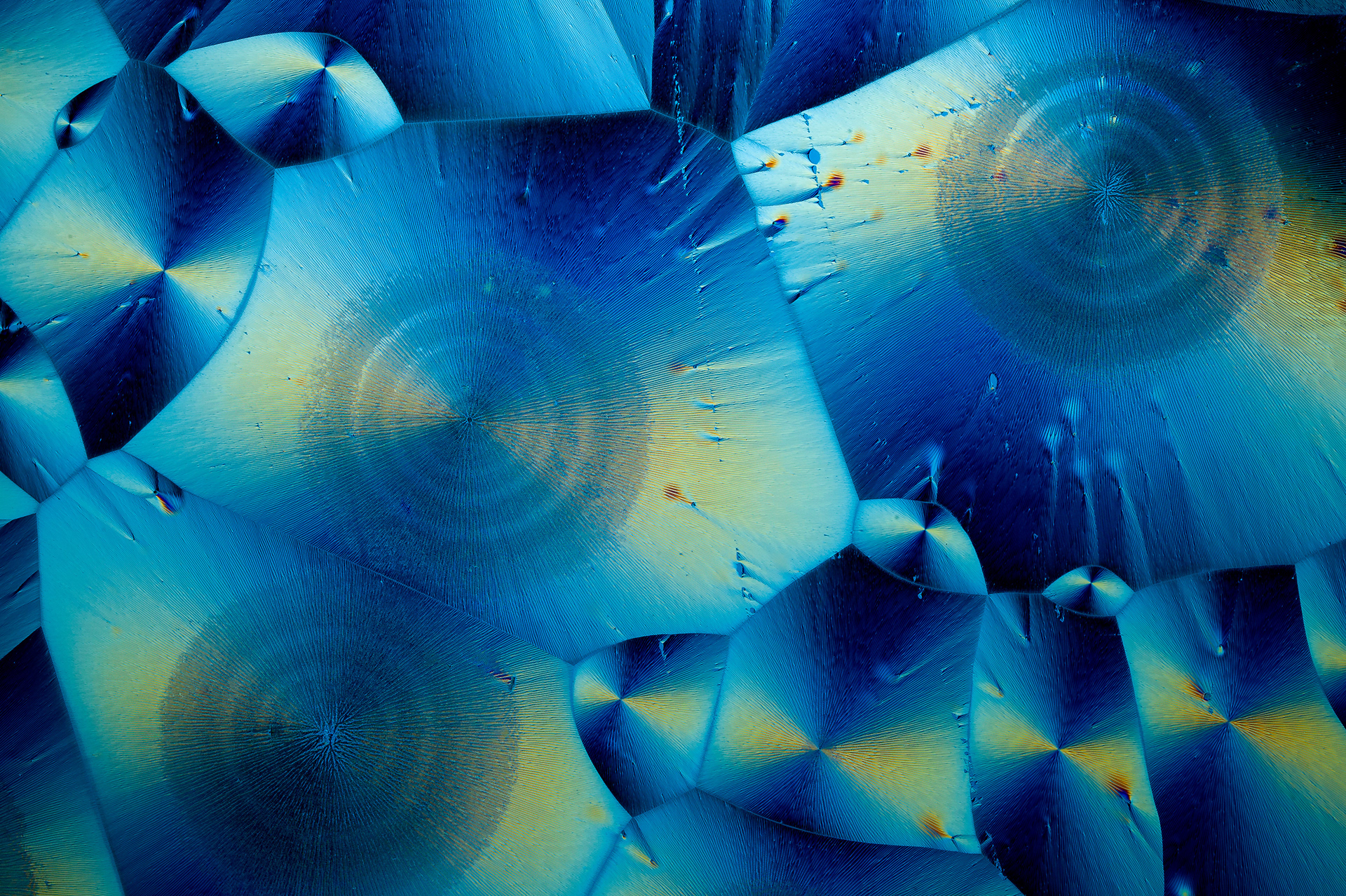 Ascorbinsäure (Vitamin C)