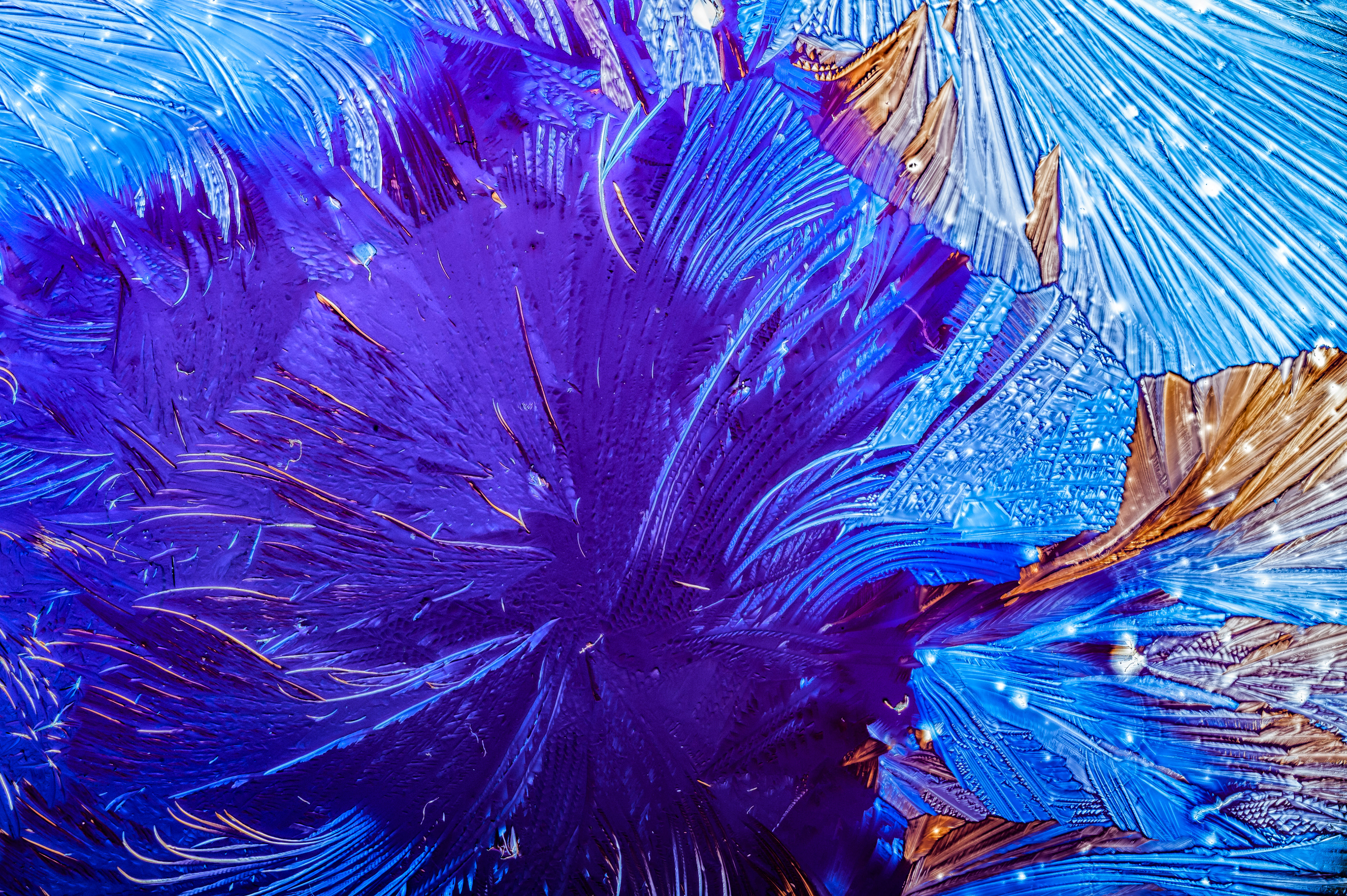 Xylit ("Birkenzucker")