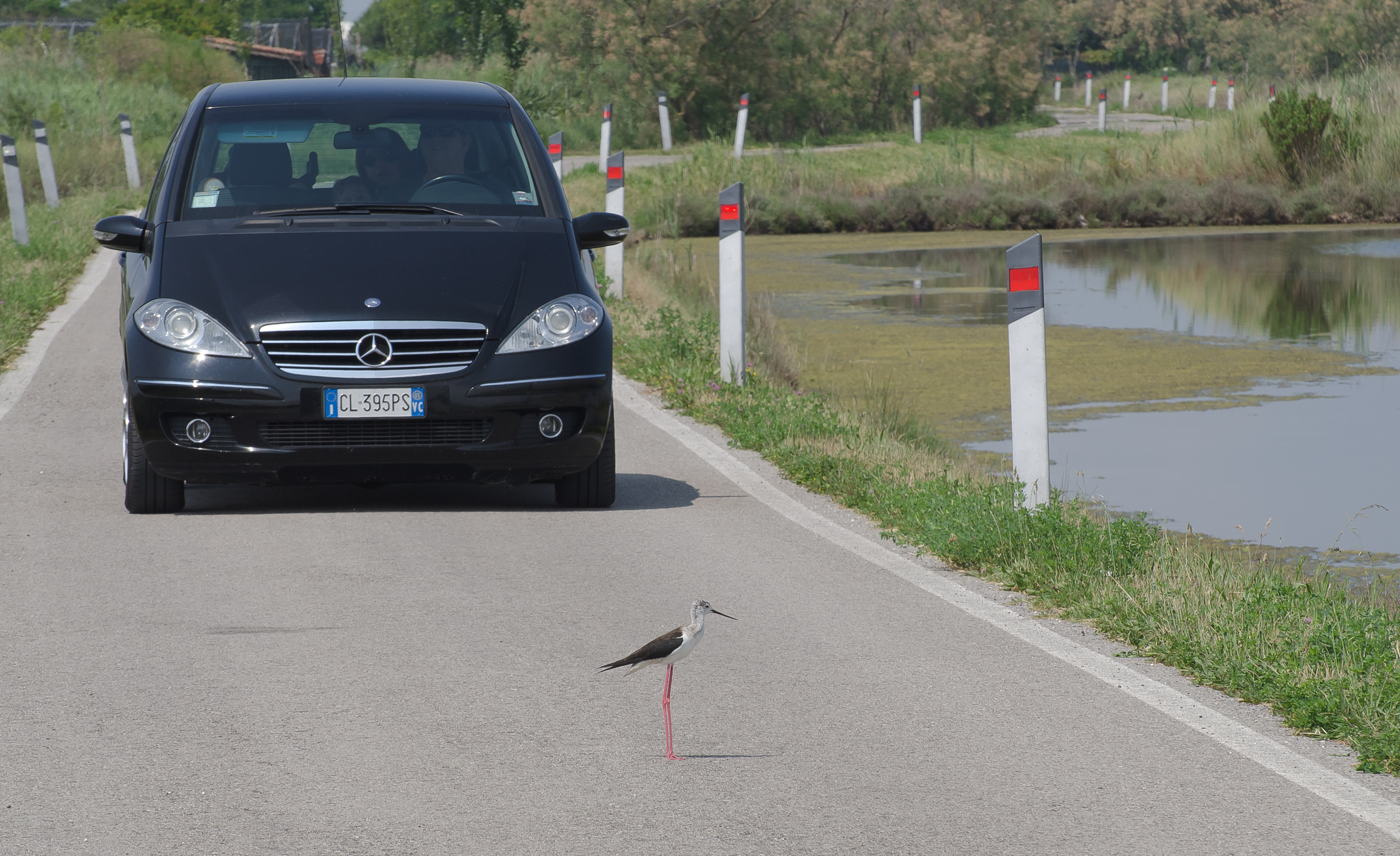 Stelzenläufer, Venedig