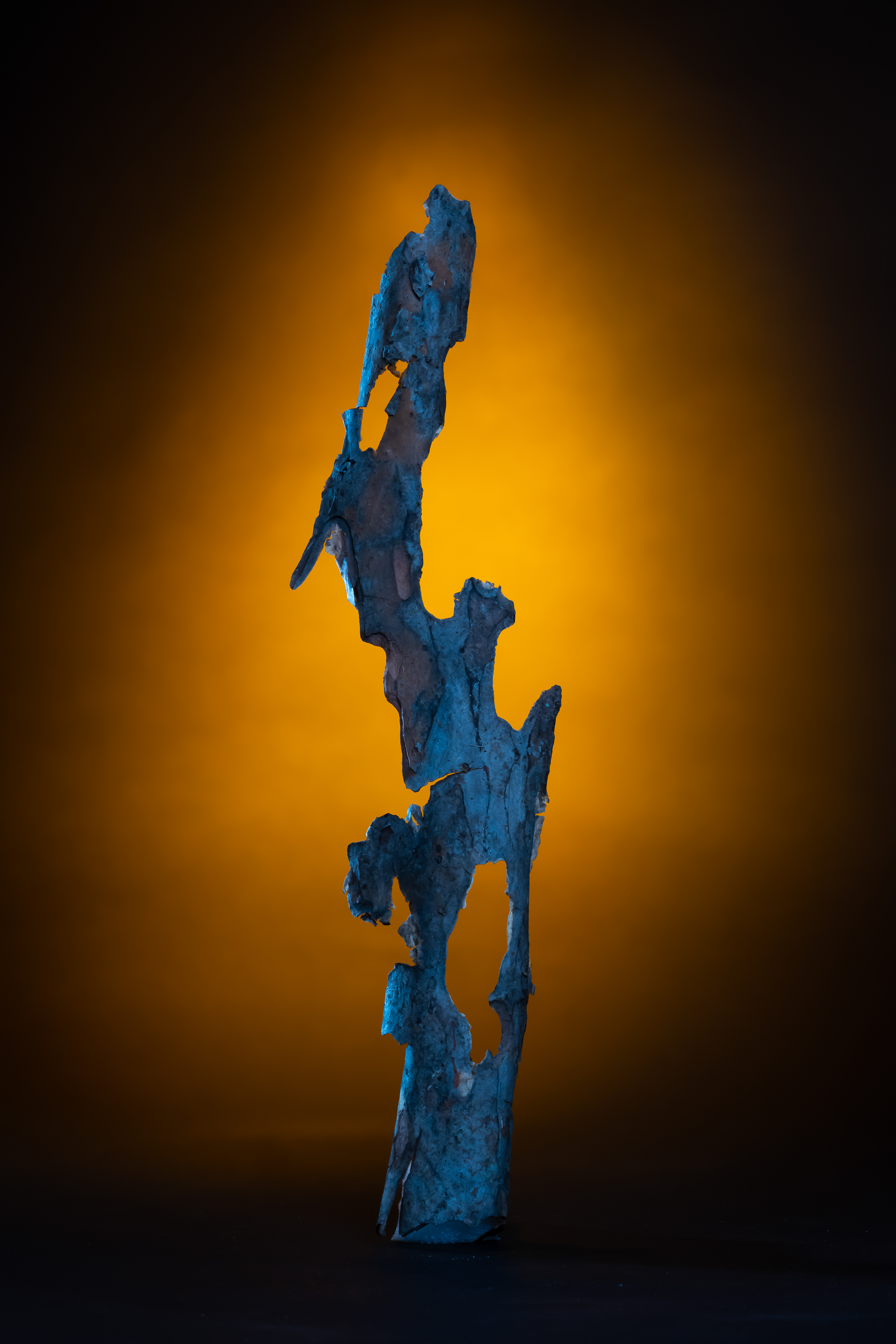 Rindenstück als Skulptur