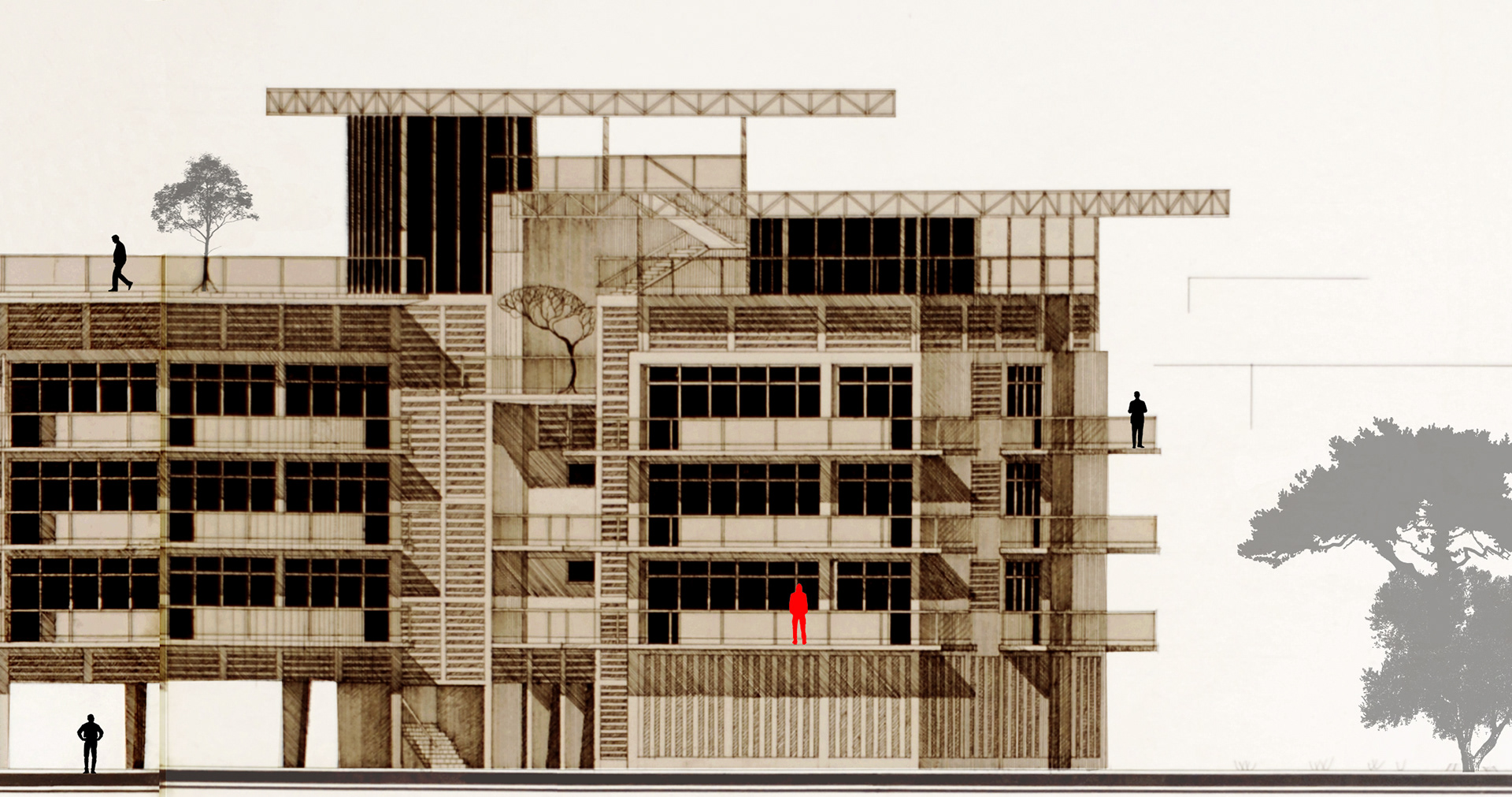Elevation - East