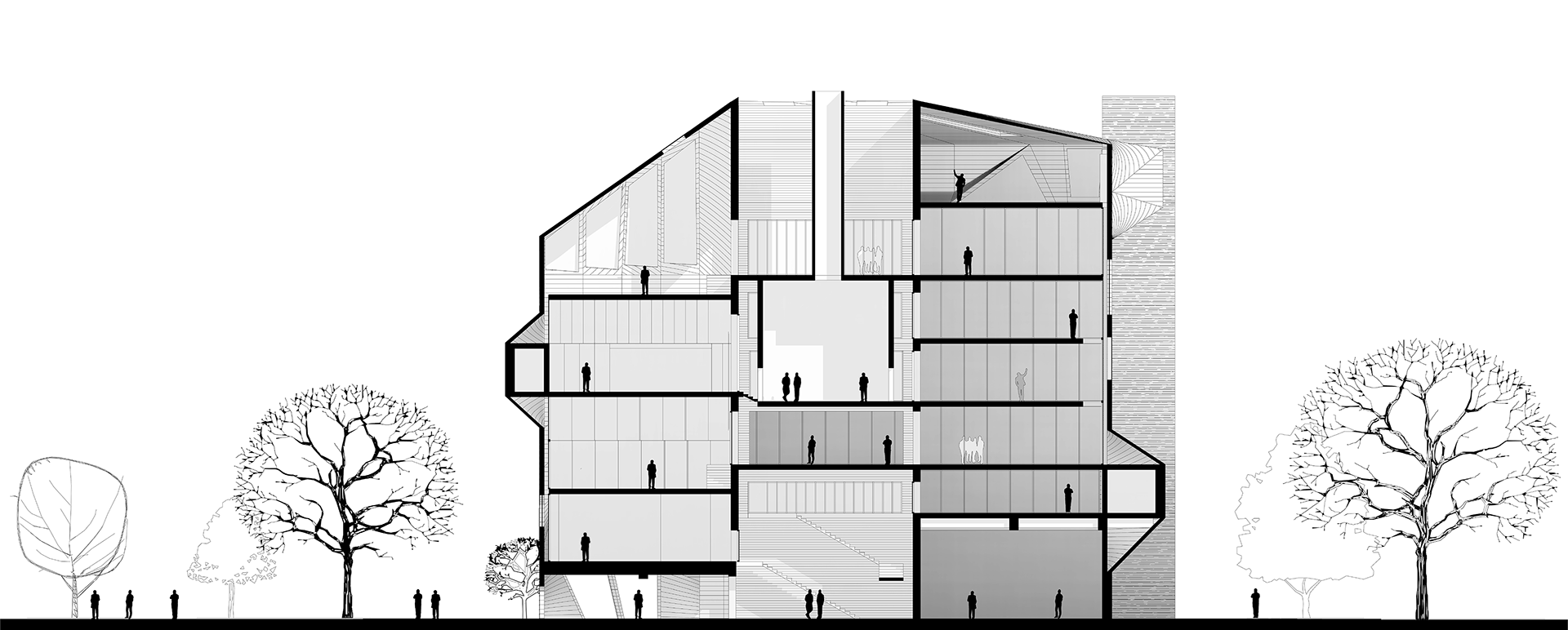 Section