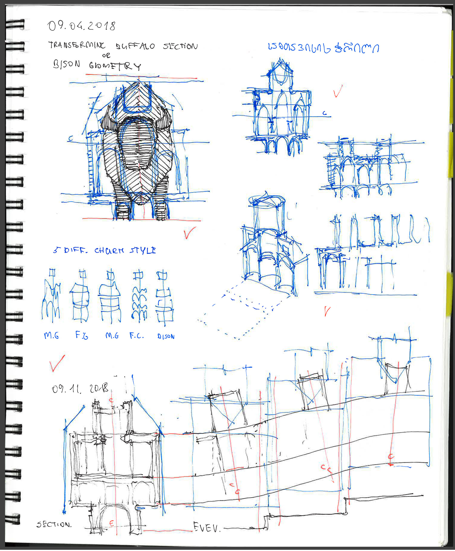 IMG 14: Approximation of the natural shapes of skulls (Study)