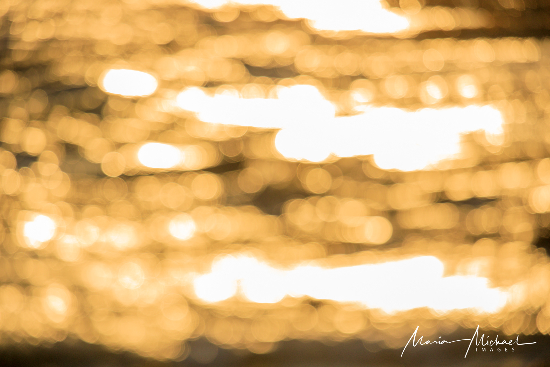 19BM4172_BondiBeach_20190904