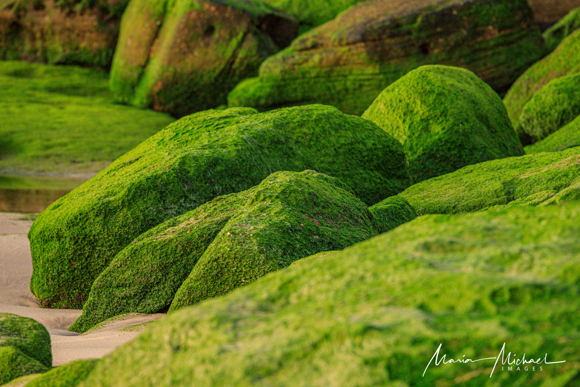 19BM4057_BondiBeach_20190904