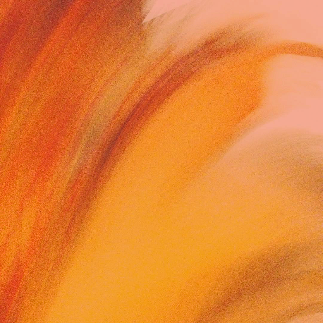 abstract one