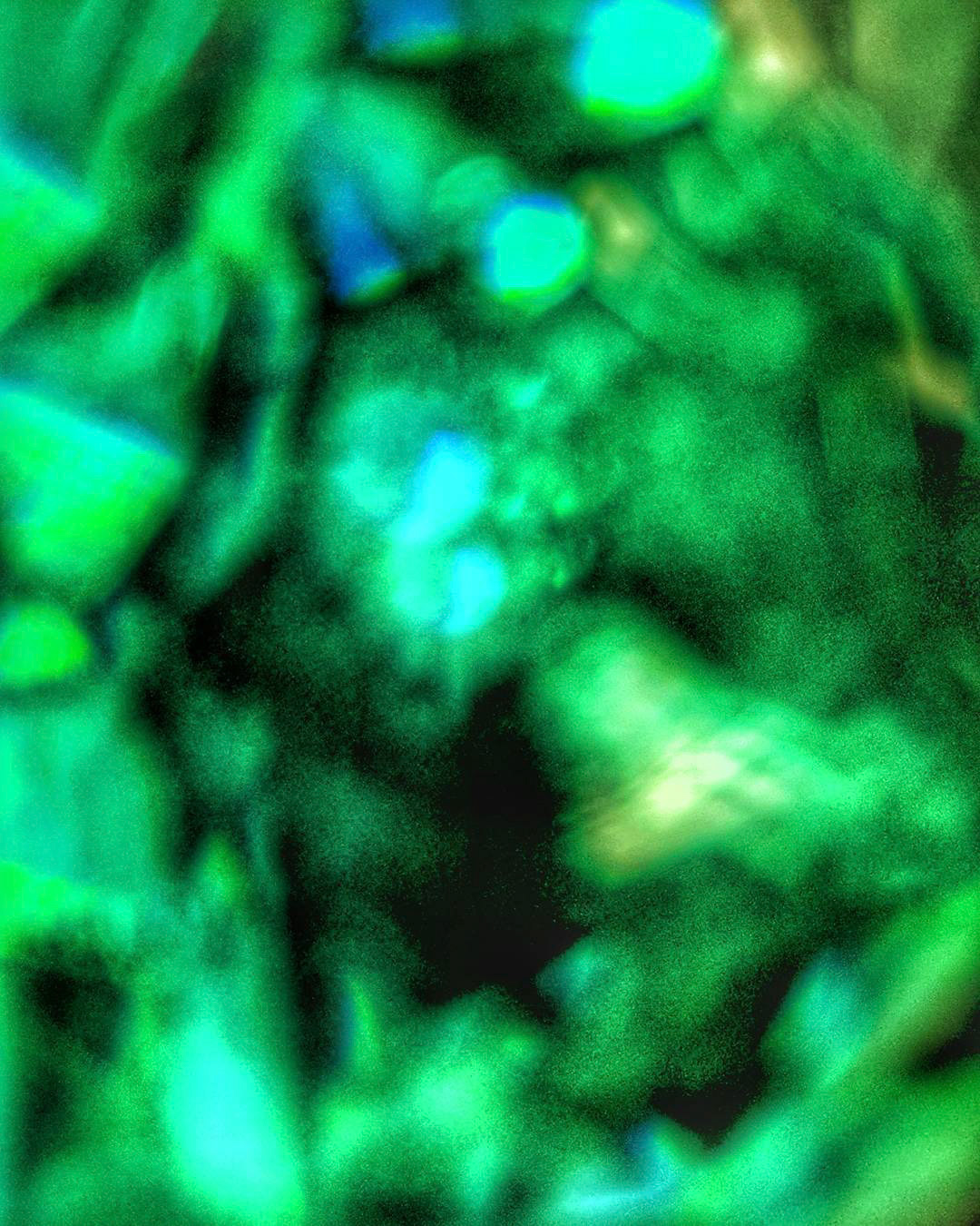 green genie