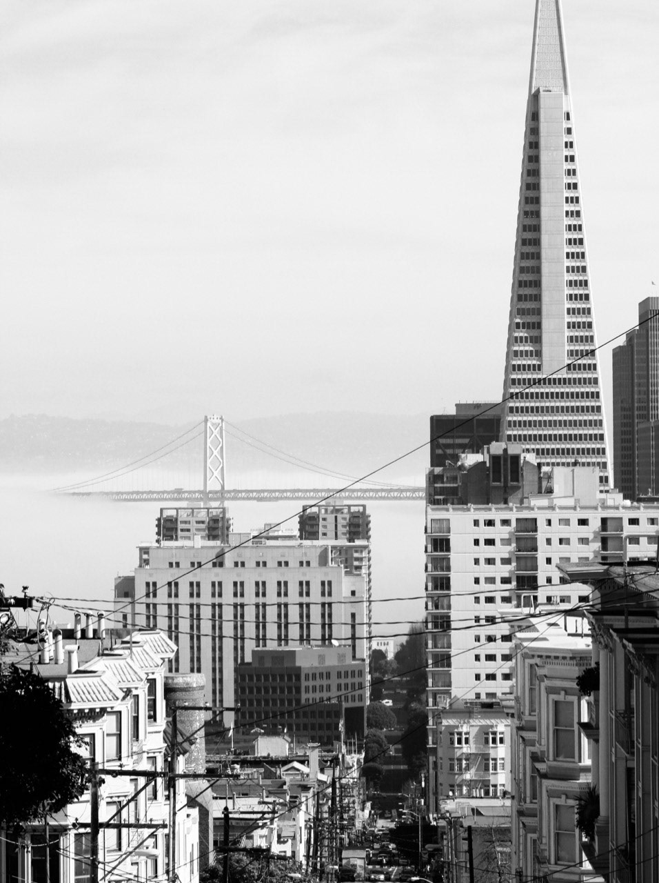 San Francisco skyline