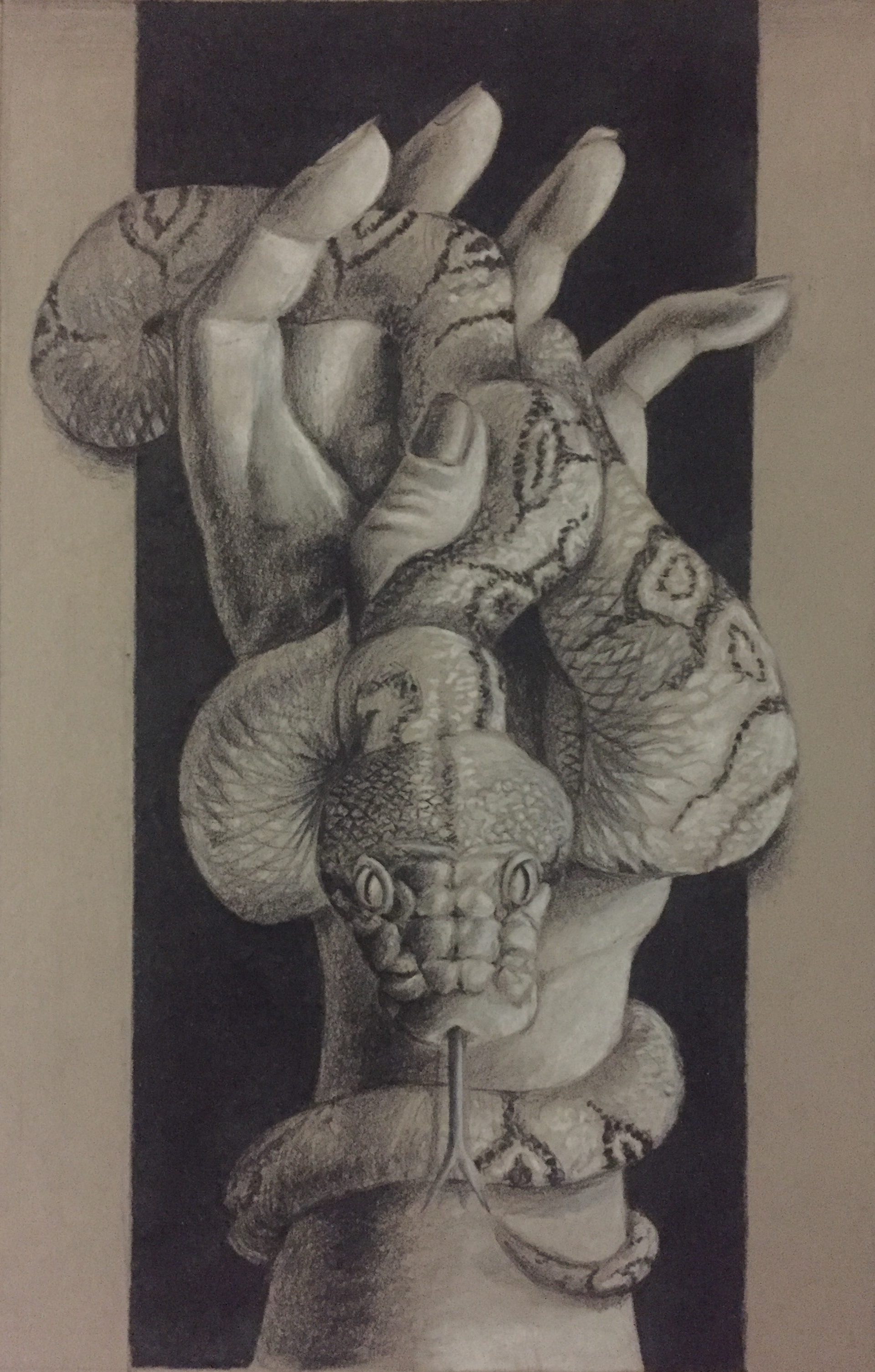 Snake and Hand - Colored Pencil