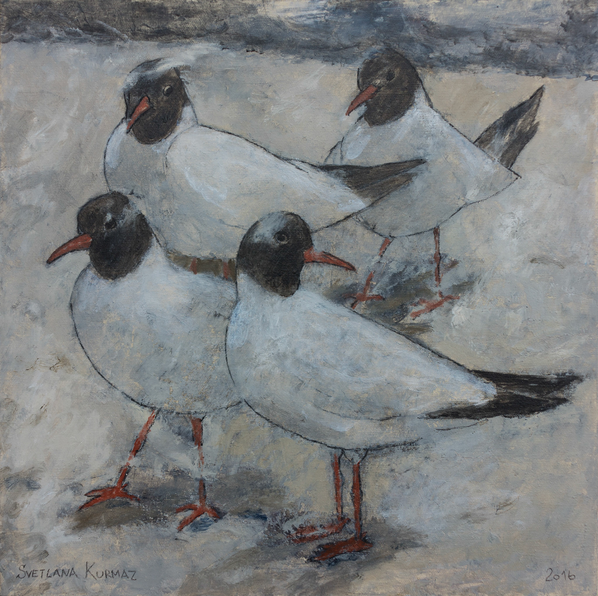 SEA GULLS, oii on canvas, 40x40cm./ SOLD