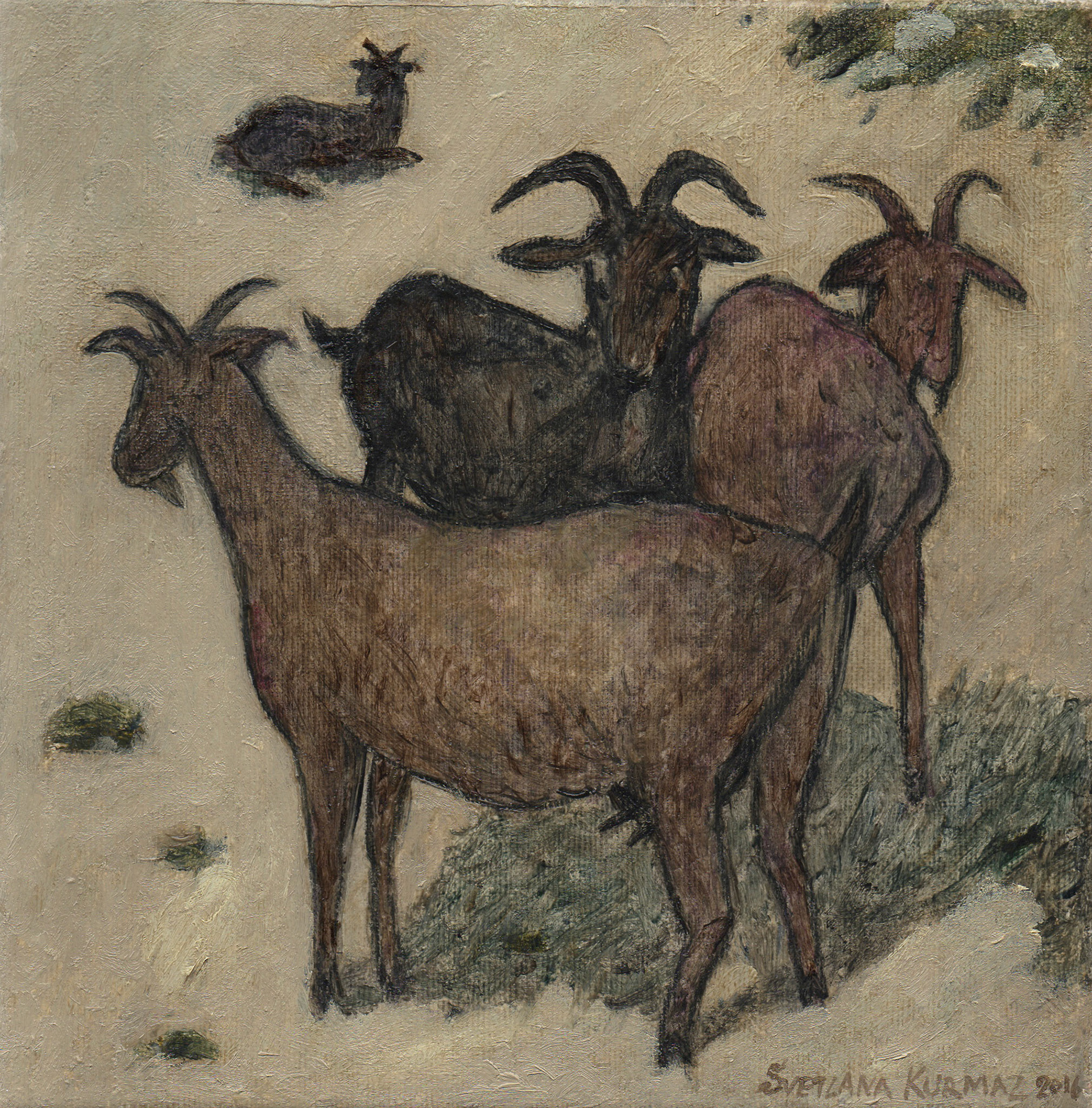GOATS, oil on canvas, 20x20cm. Available.