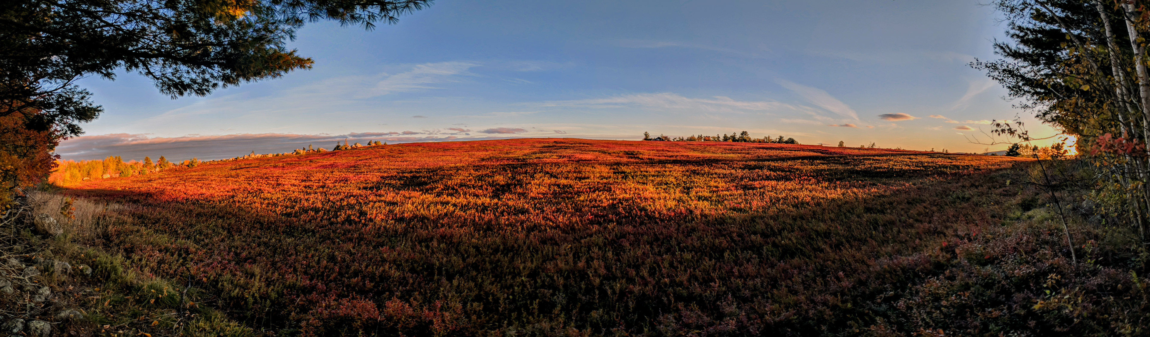 Taken on Pixel 2 #TeamPixel