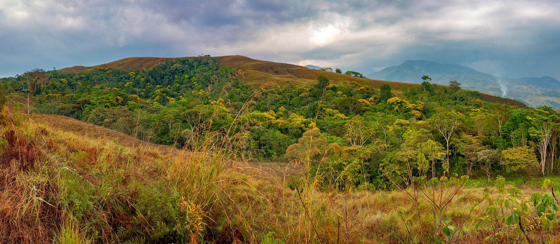 Buenos Aires , Costa Rica