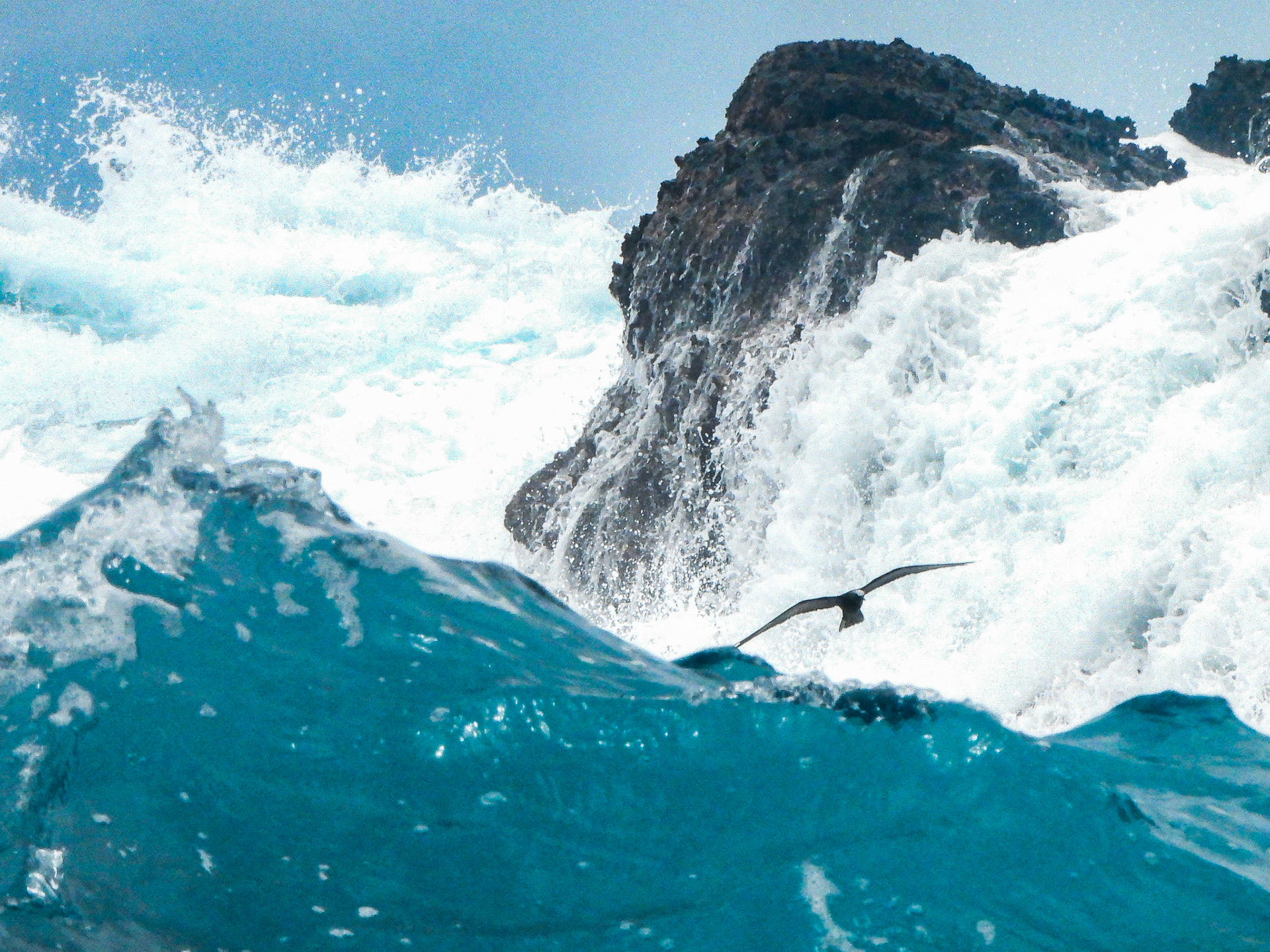 my favorite photo of the trip