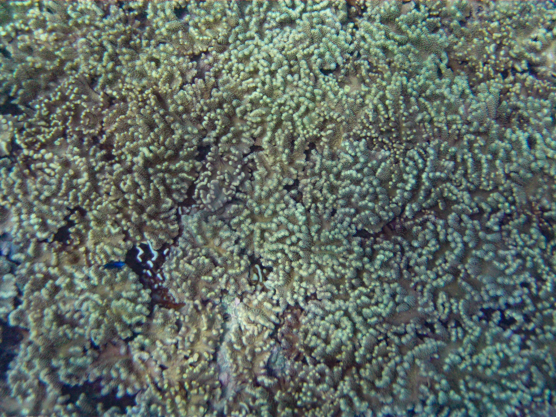 DCIM\100MEDIA