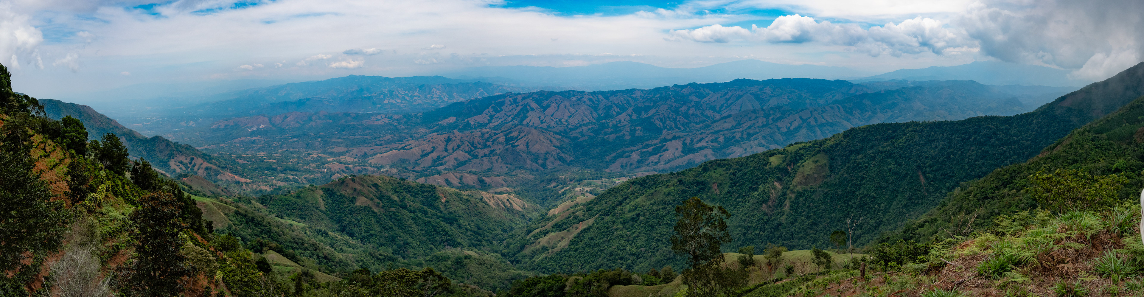 Puriscal from Potenciana