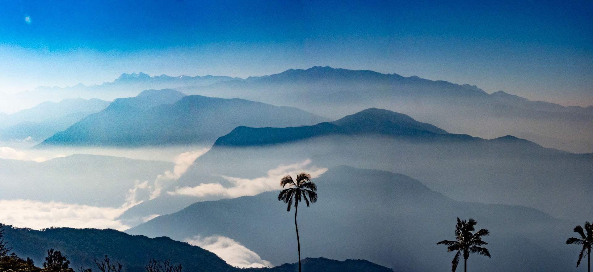San Lorenzo Ridge, Santa Marta Colombia