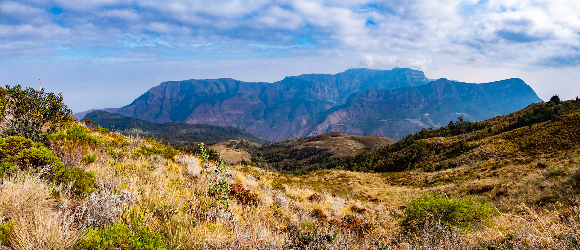 Cerro Pintado Perijá , Colombia
