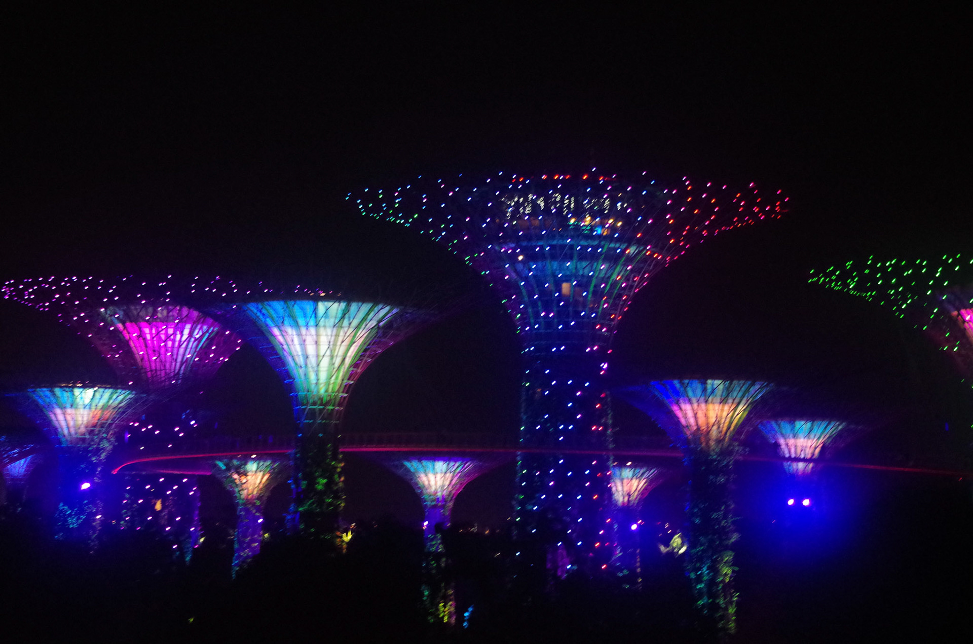 Gardens by the bay , Singapore