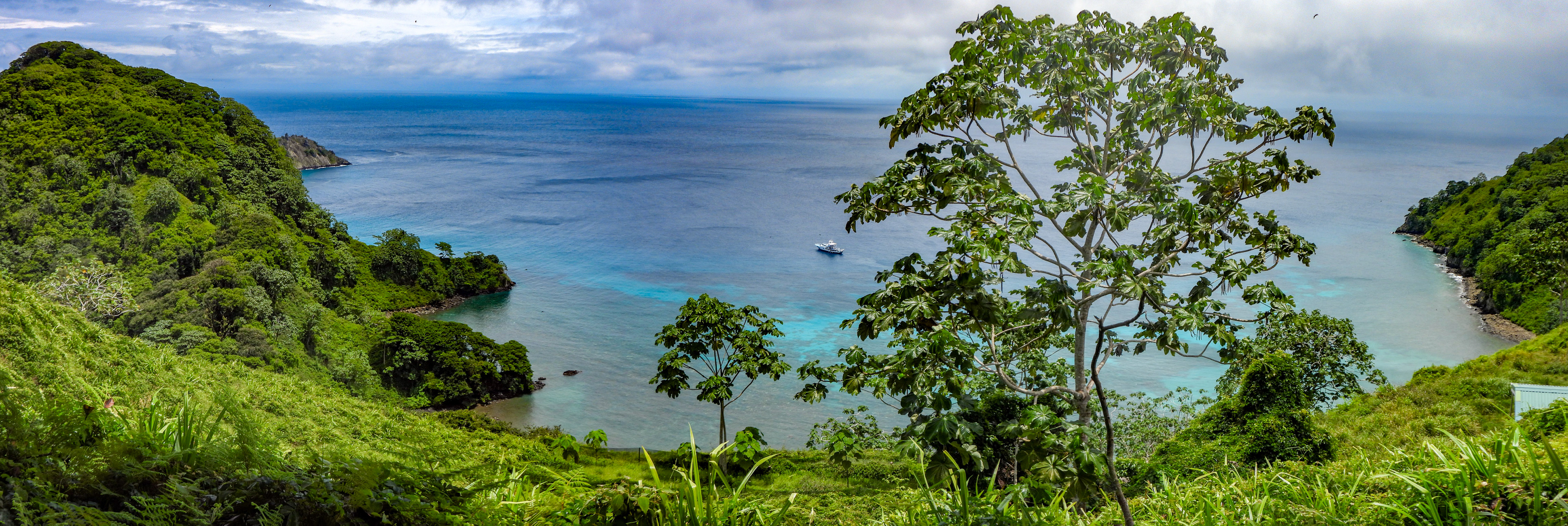 Chatham Bat with agressor moored