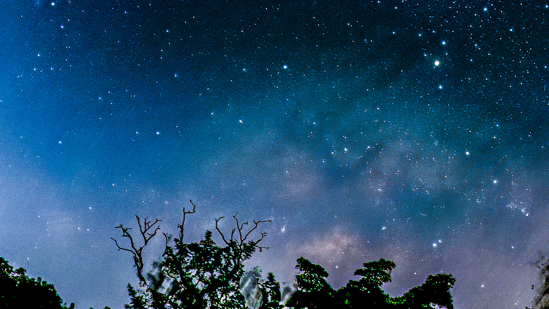 C:\DCIM\100GOPRO\G0080459.GPR