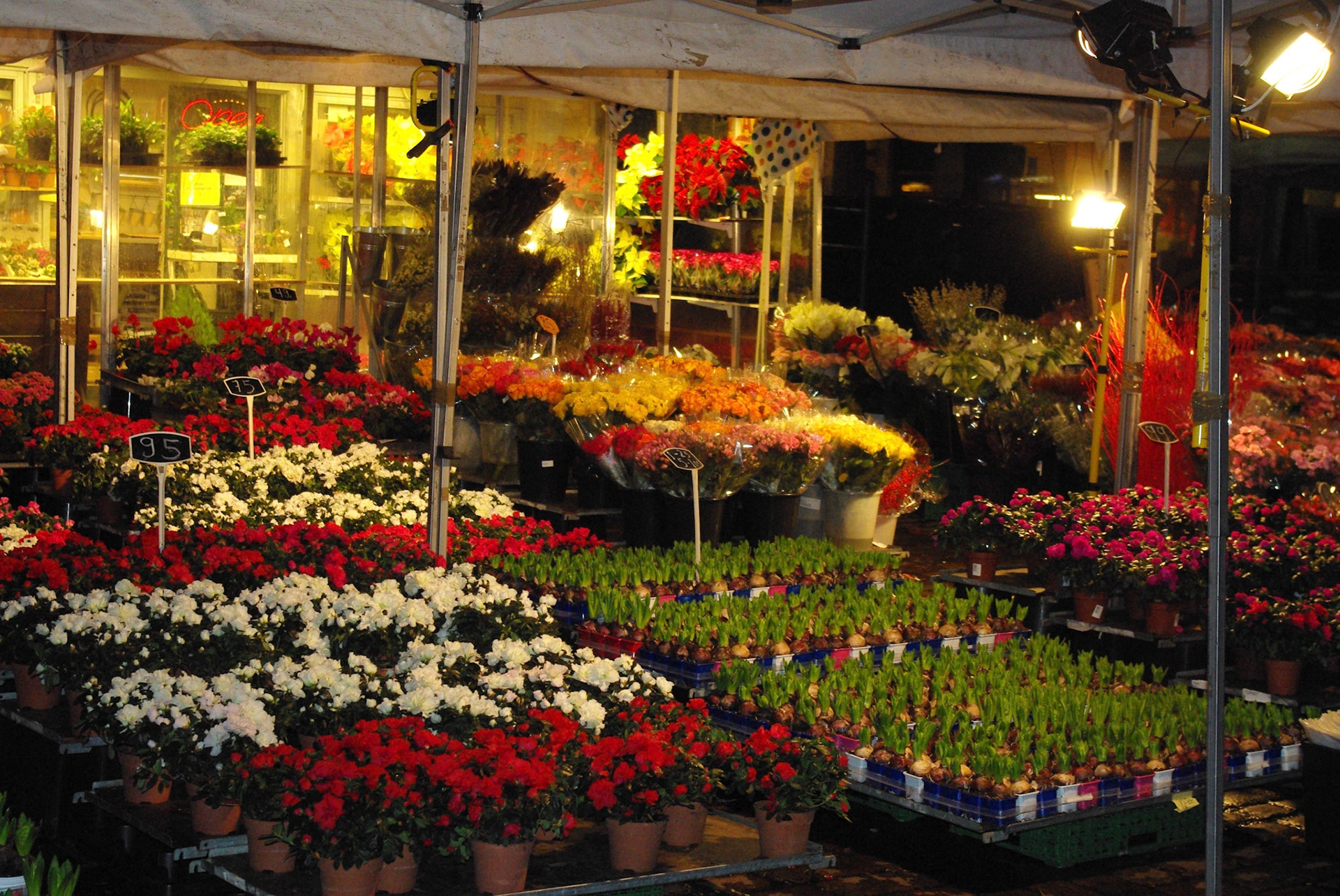 Oslo, Norway christmas market