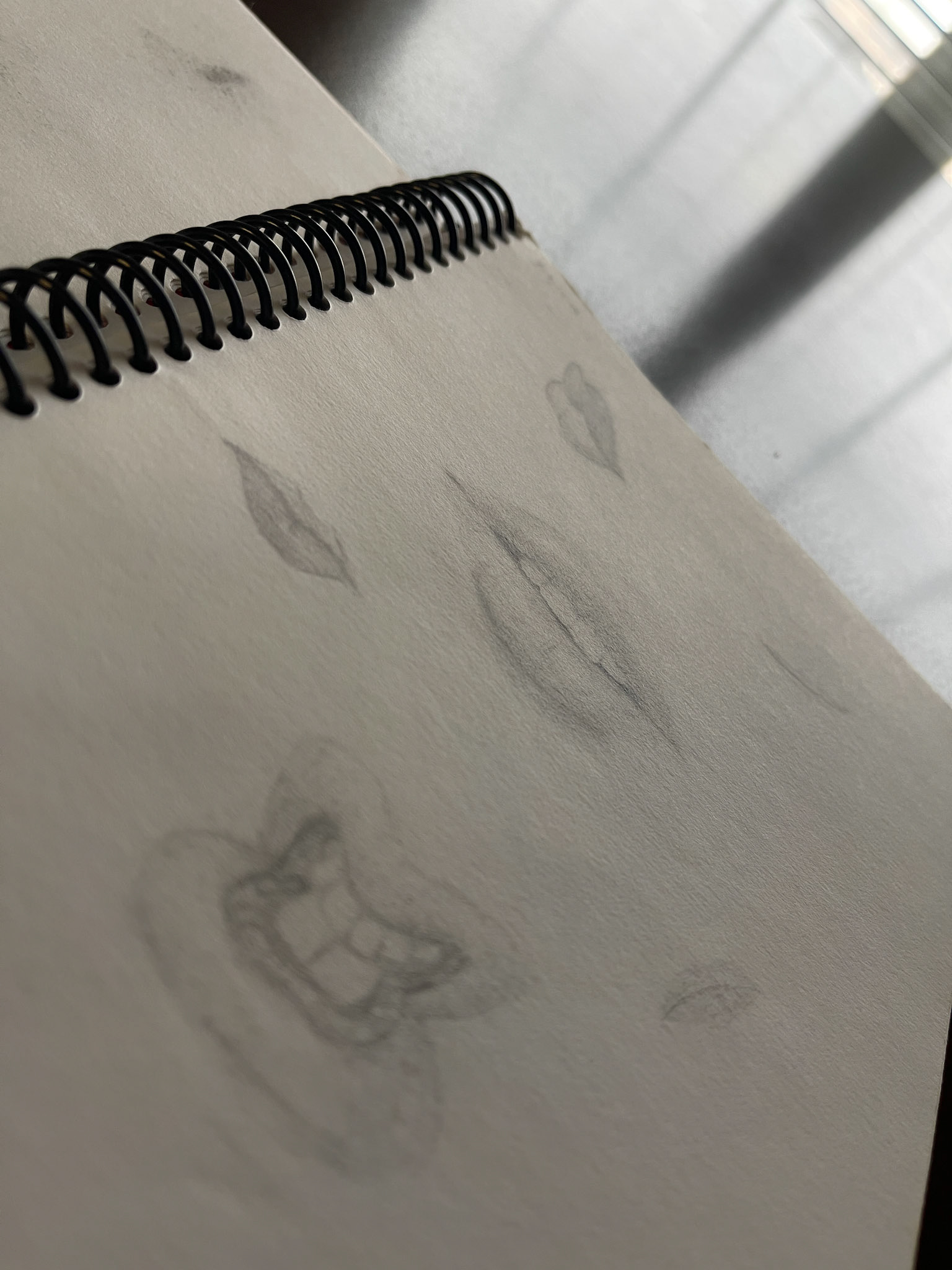 Mouth Study