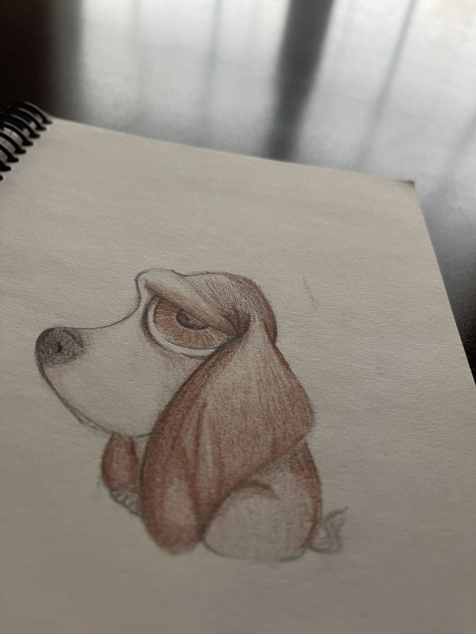 Dog Eyes