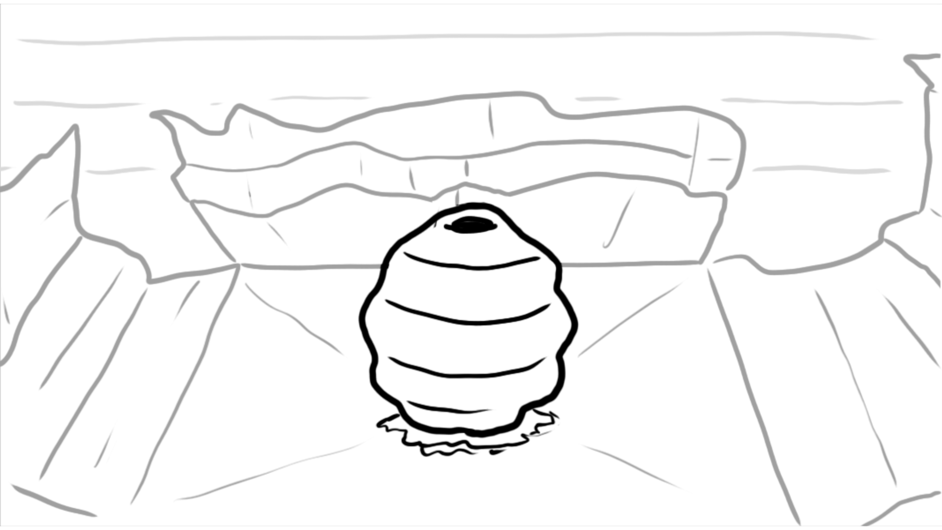 A giant wasp nest sits inside the now-destroyed box.