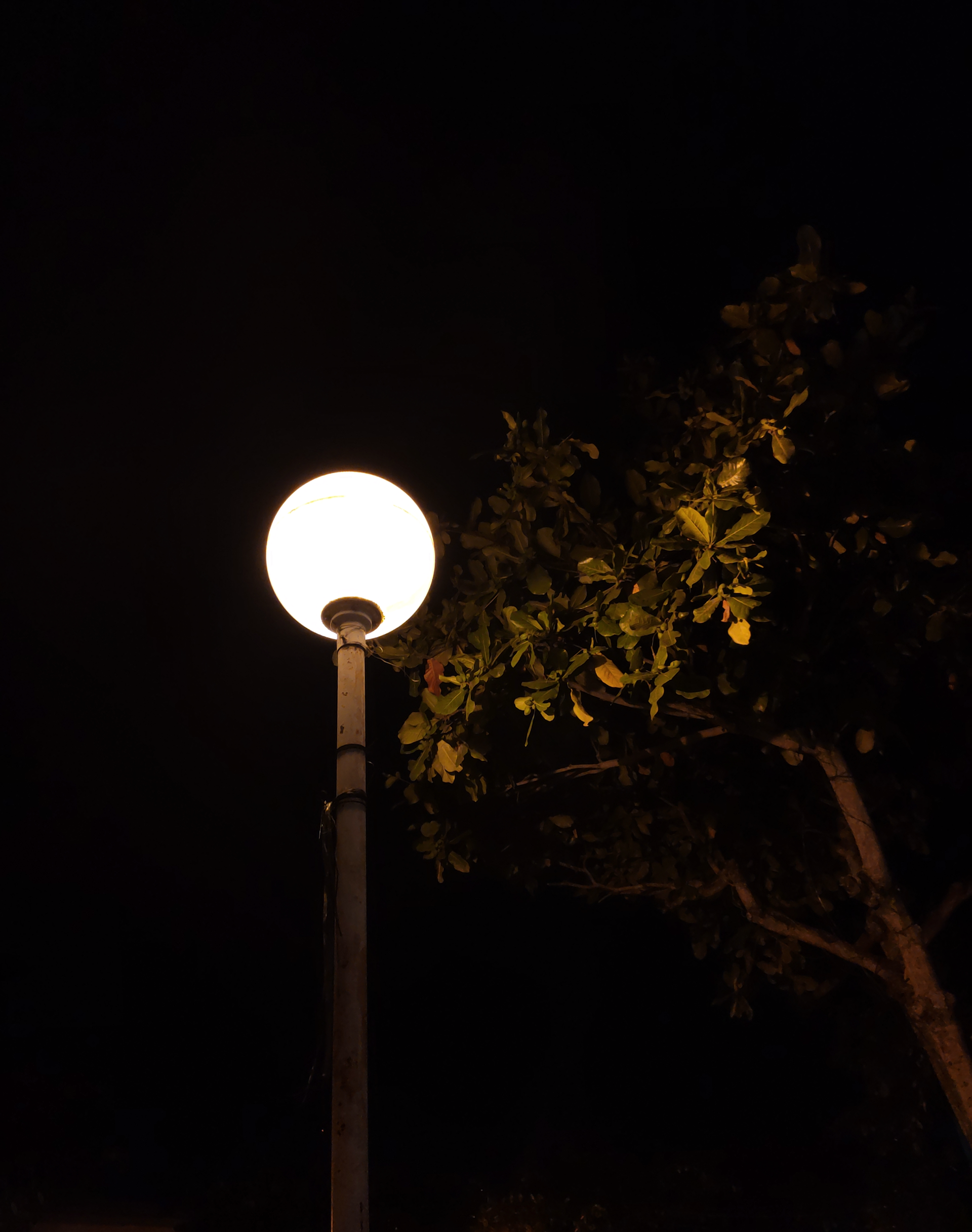 Photon