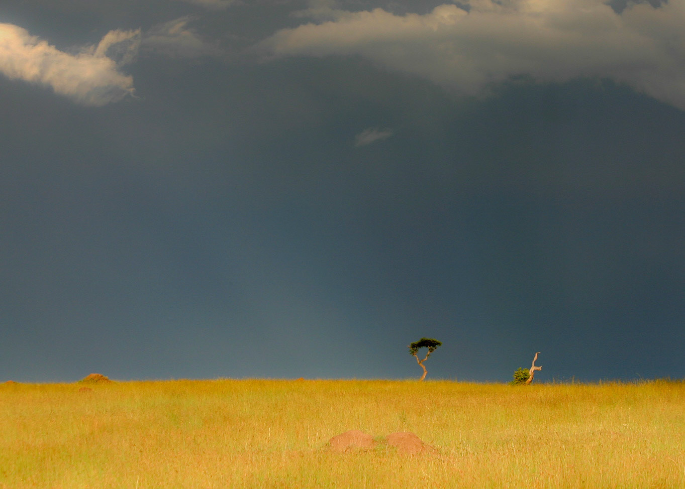 Storm Clouds Over The Masai Mara