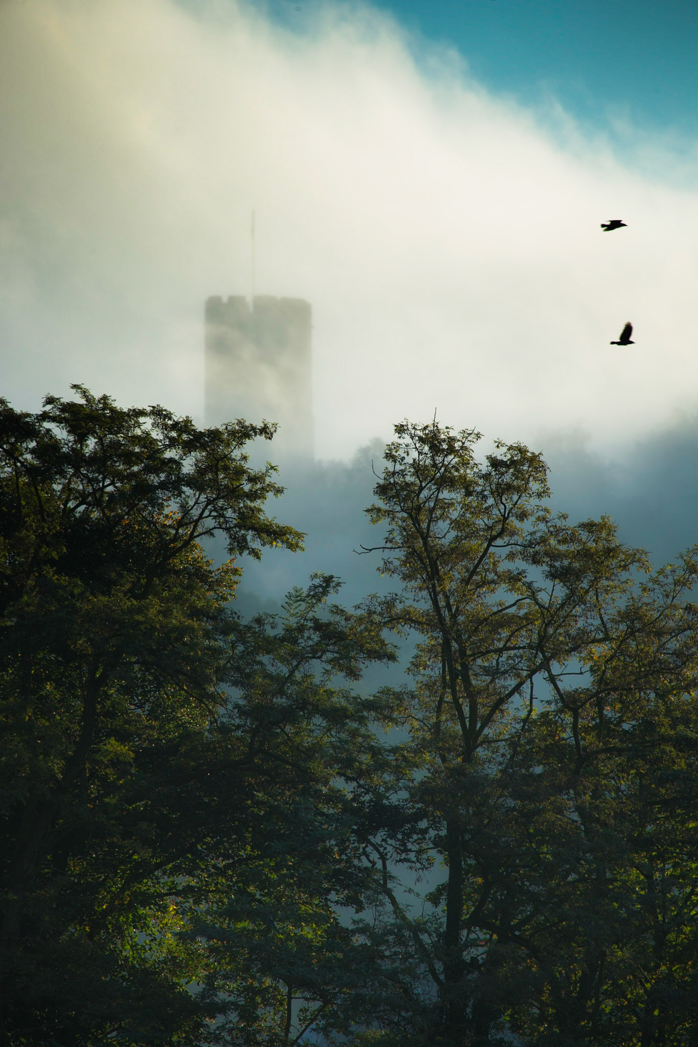 Stolzenfels Castle, Koblenz, Germany