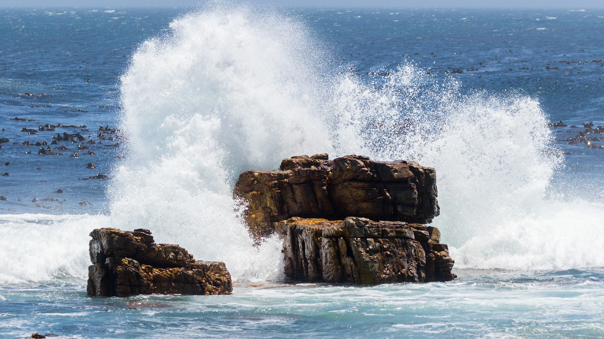 Seas Whipped By The Roaring Forties At The Cape Of Good Hope
