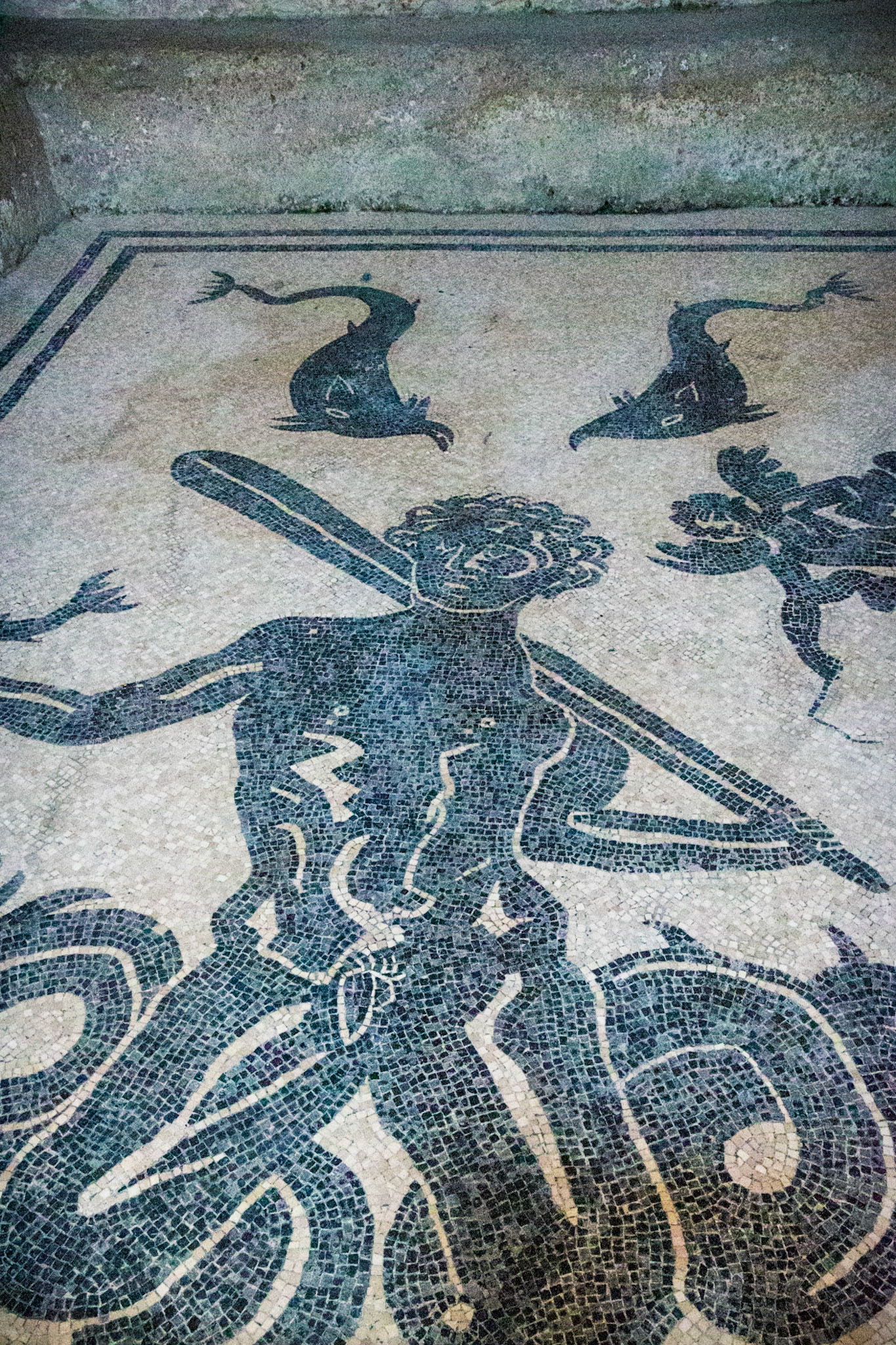 Detail of Triton, the son of Neptune, central baths, Herculaneum, Italy.  The mosaic which decorates the floor in the apodyterium of the female section of the urban spa represents Triton who grasps a rudder among sea creatures.